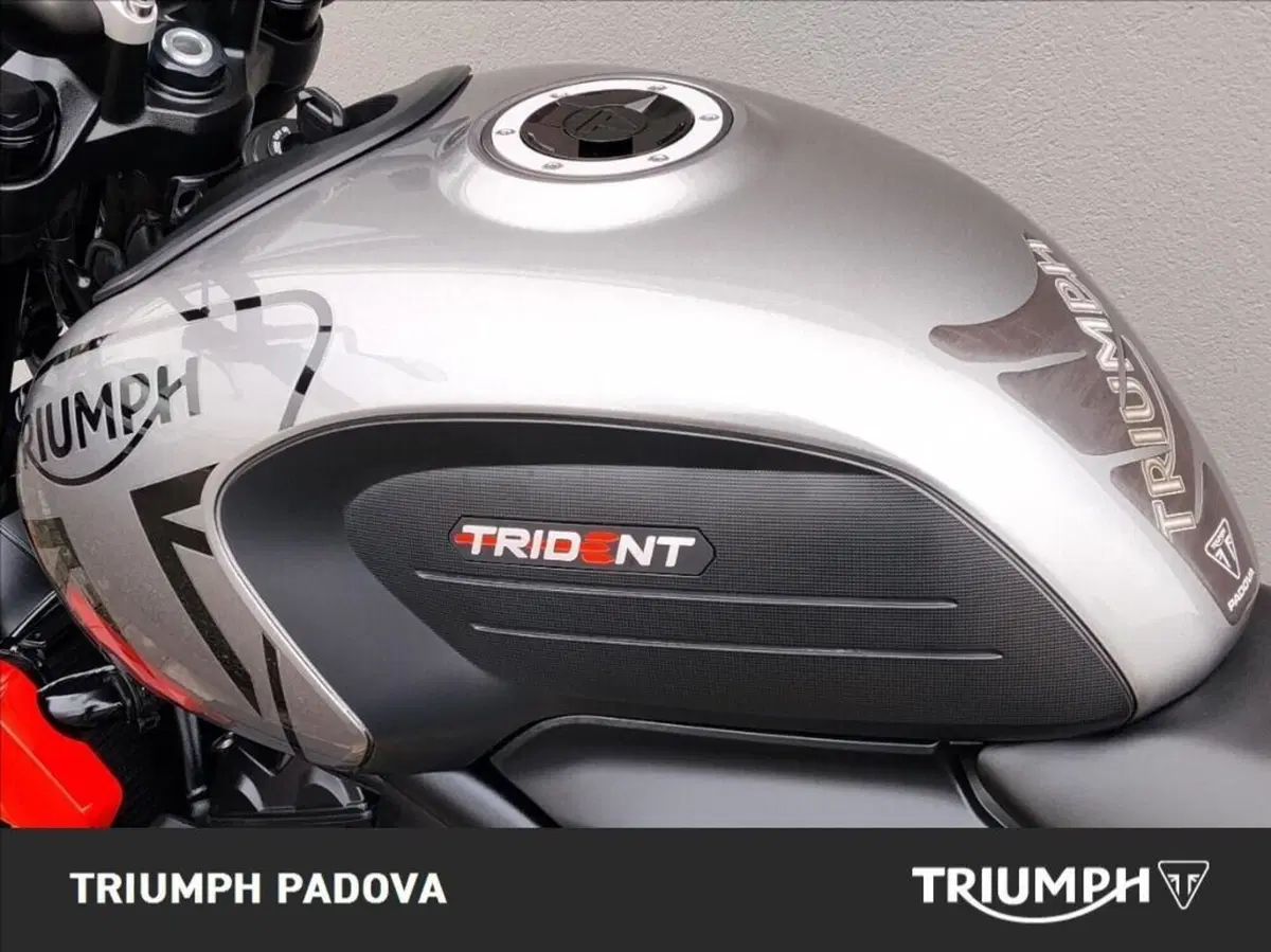 Triumph Trident 660 (2021 - 24) (9)