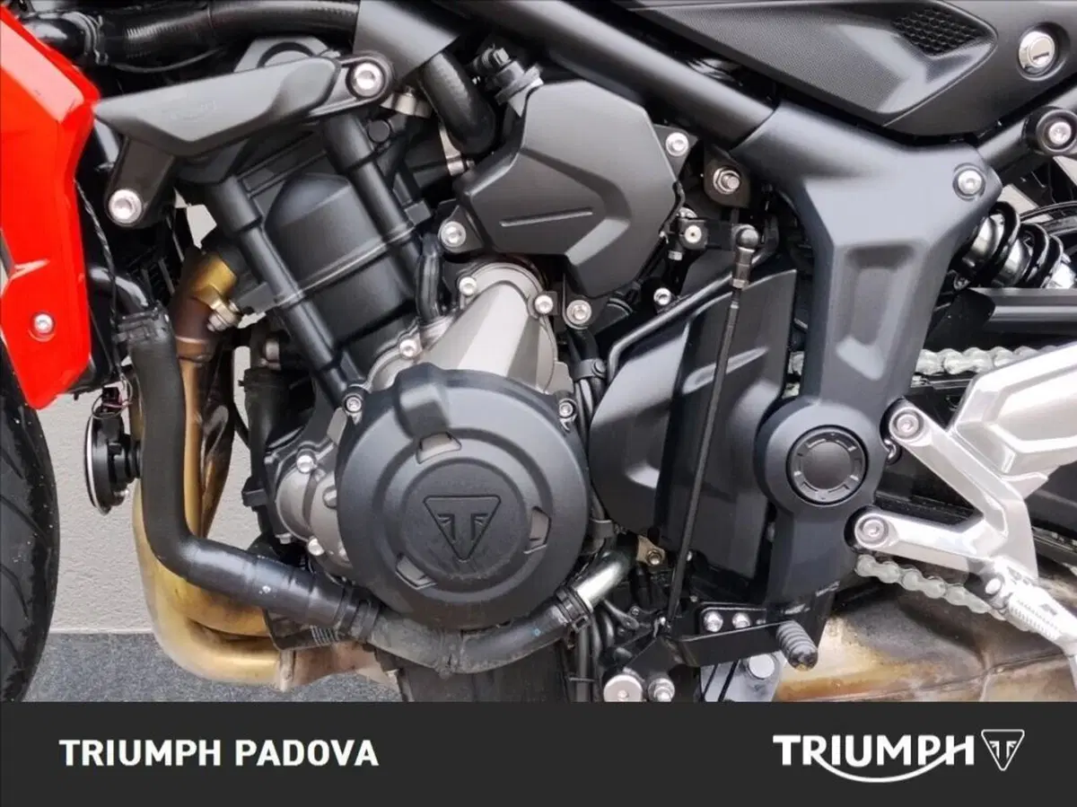 Triumph Trident 660 (2021 - 24) (8)
