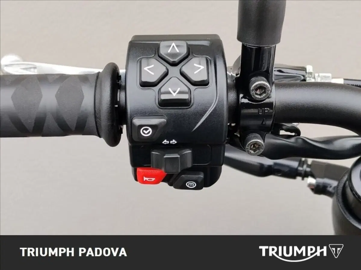 Triumph Trident 660 (2021 - 24) (12)