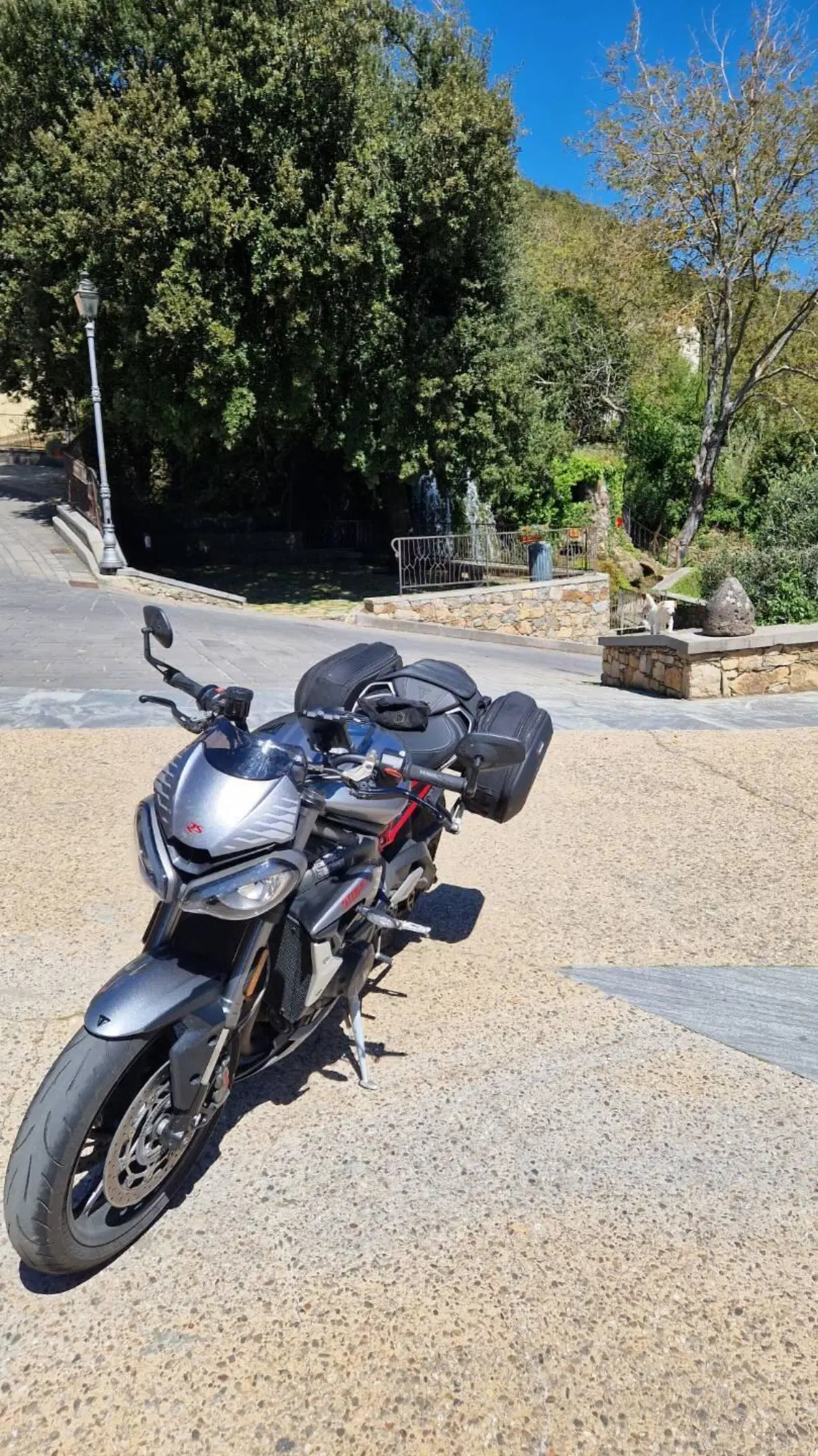 Triumph Street Triple RS (2020 - 22) (4)