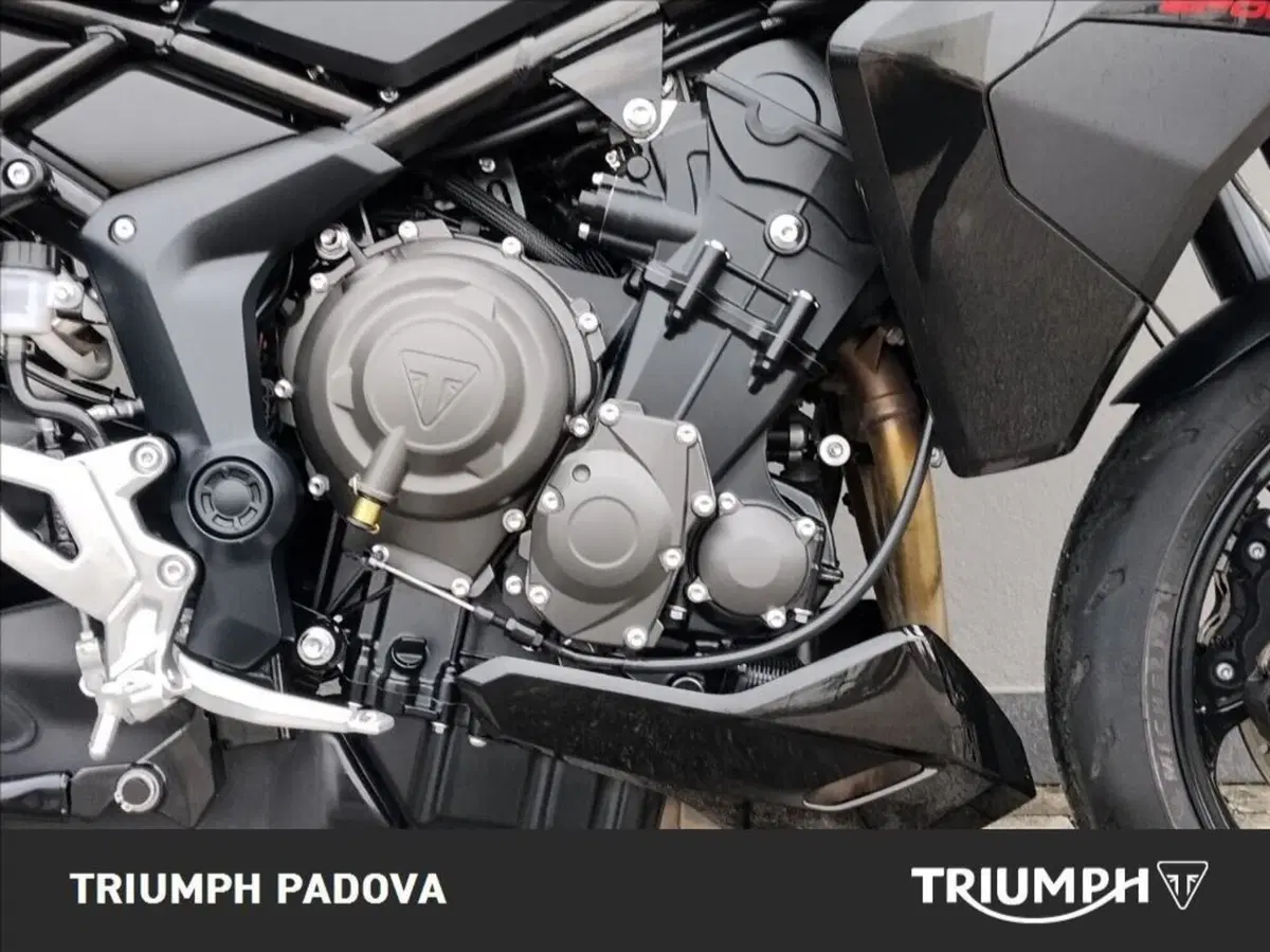 Triumph Tiger Sport 800 (2025 - 26) (3)