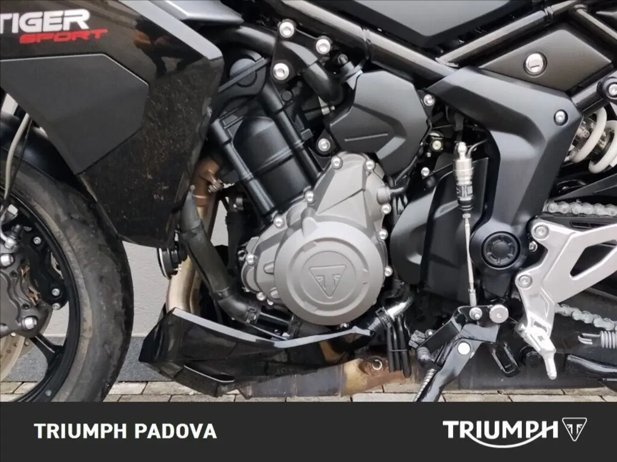 Triumph Tiger Sport 800 (2025 - 26) (8)