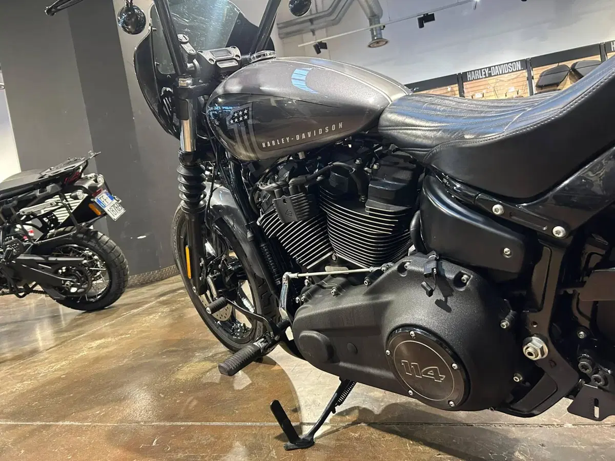 Harley-Davidson Street Bob 114 (2021 - 24) (3)