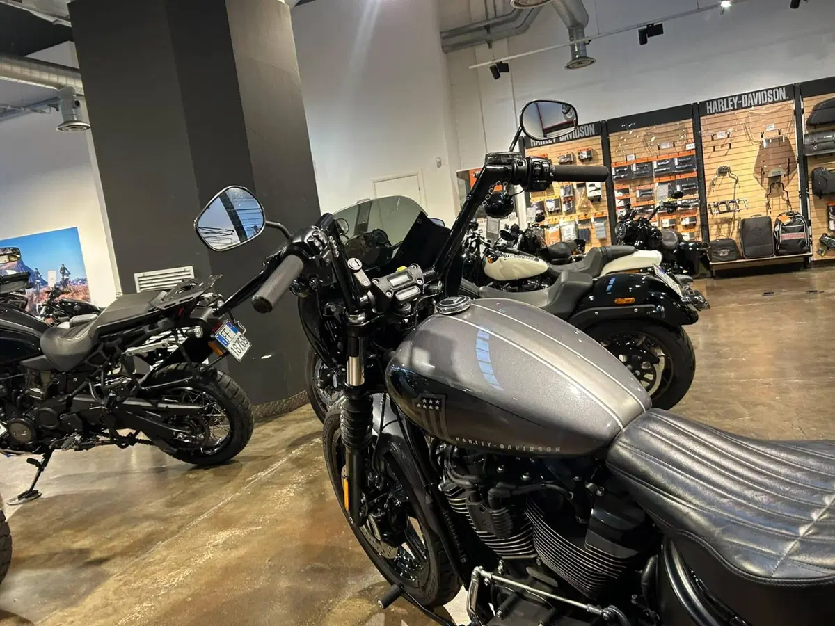 Harley-Davidson Street Bob 114 (2021 - 24) (4)