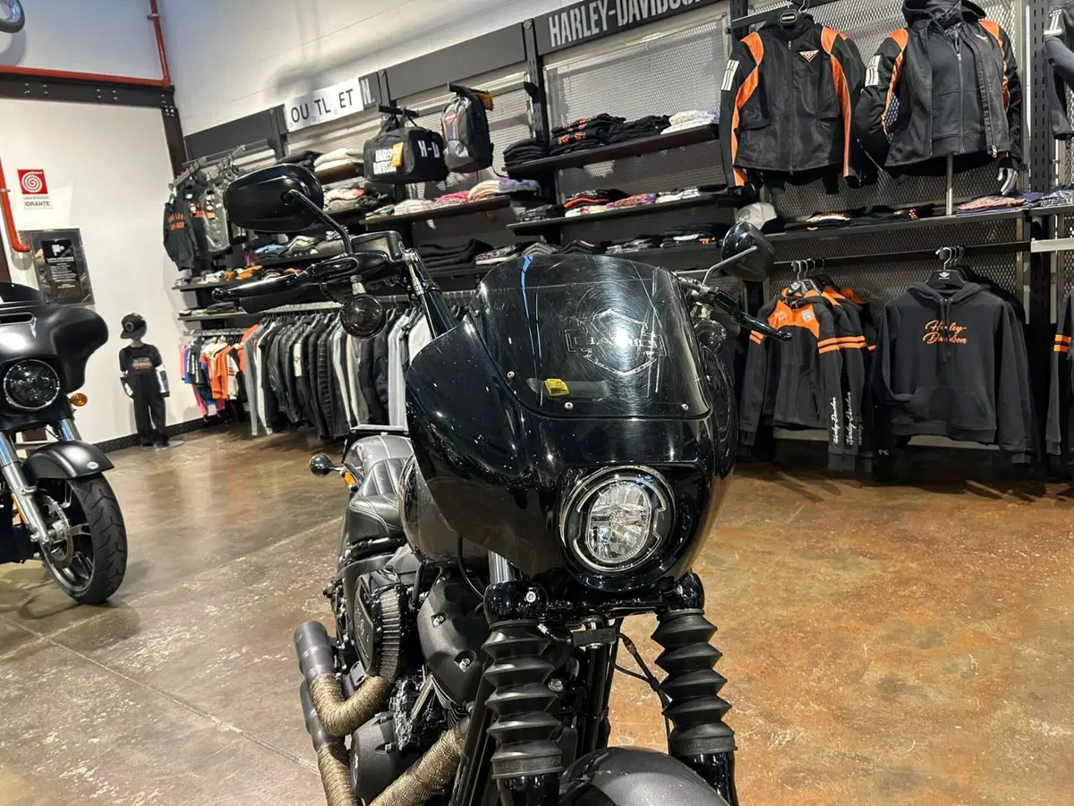 Harley-Davidson Street Bob 114 (2021 - 24) (6)