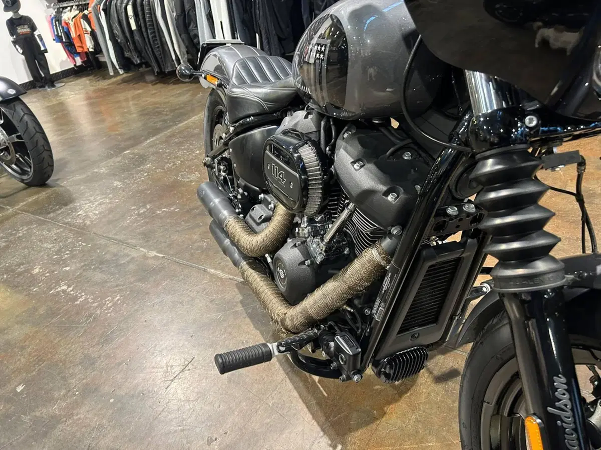 Harley-Davidson Street Bob 114 (2021 - 24) (7)