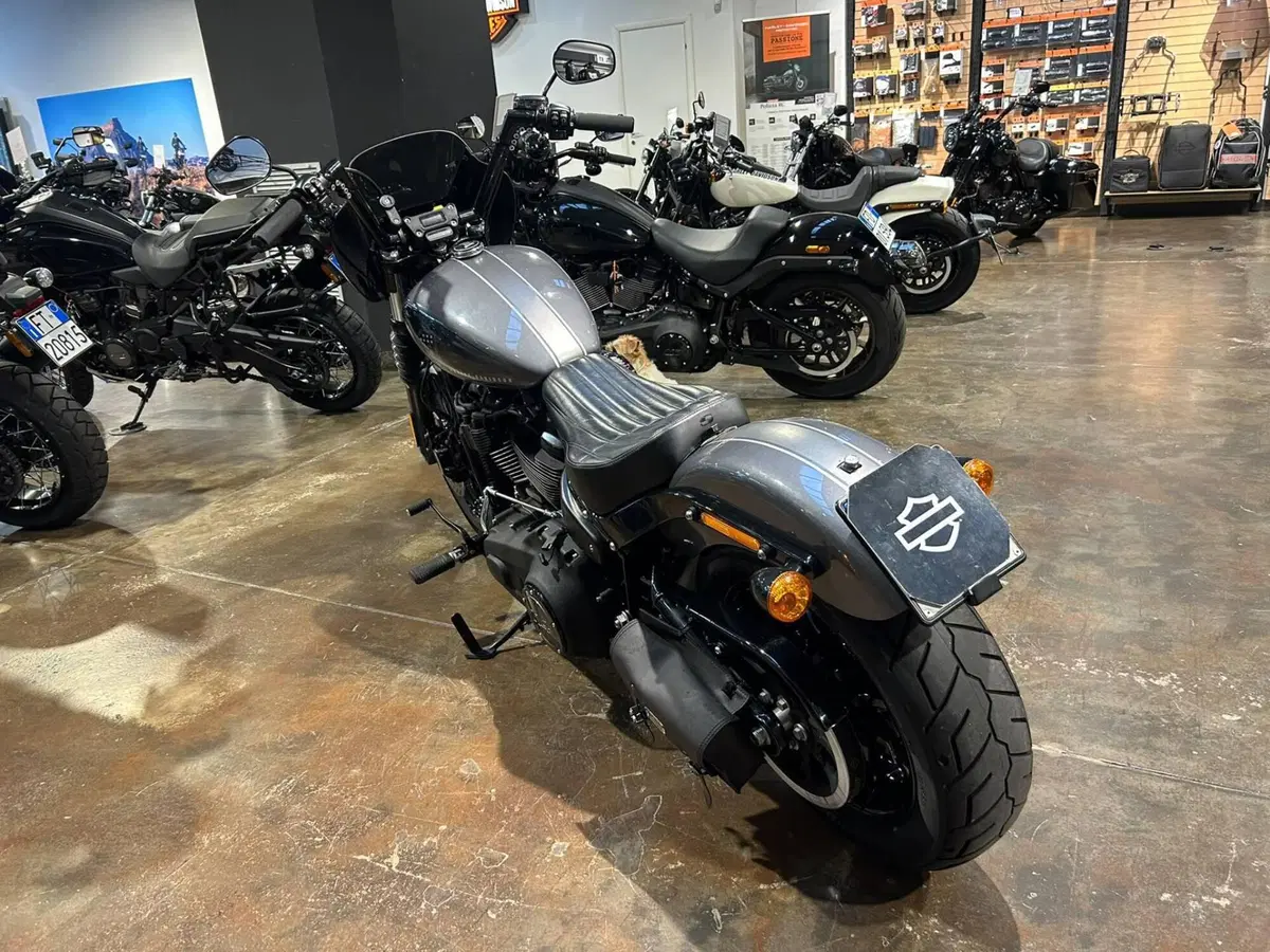 Harley-Davidson Street Bob 114 (2021 - 24) (8)