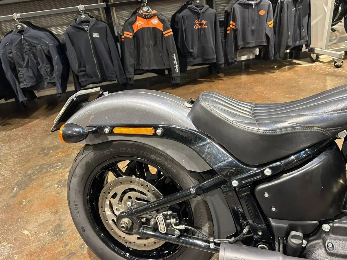 Harley-Davidson Street Bob 114 (2021 - 24) (10)