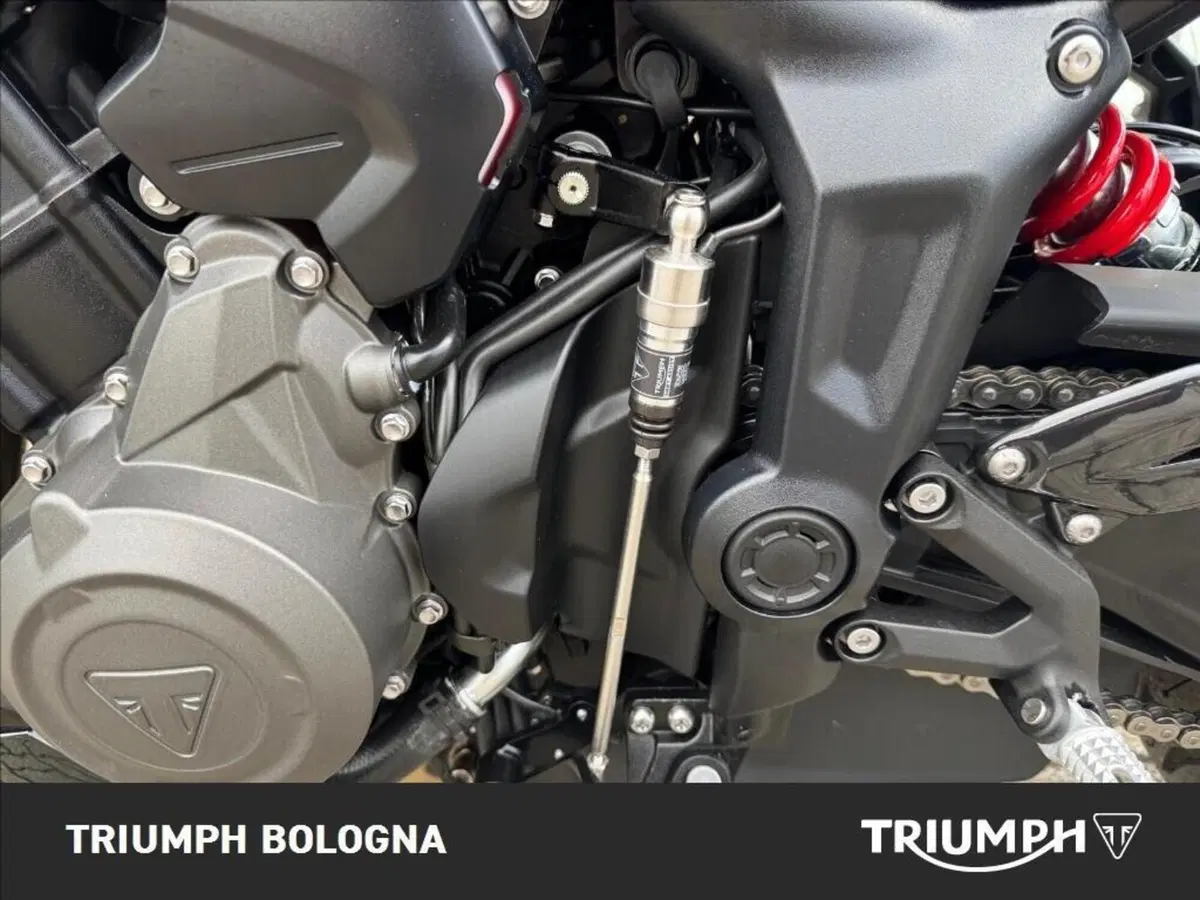 Triumph Trident 800 (2026) (6)