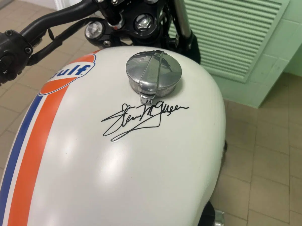 Triumph Bonneville T100 (2008 - 16) (8)