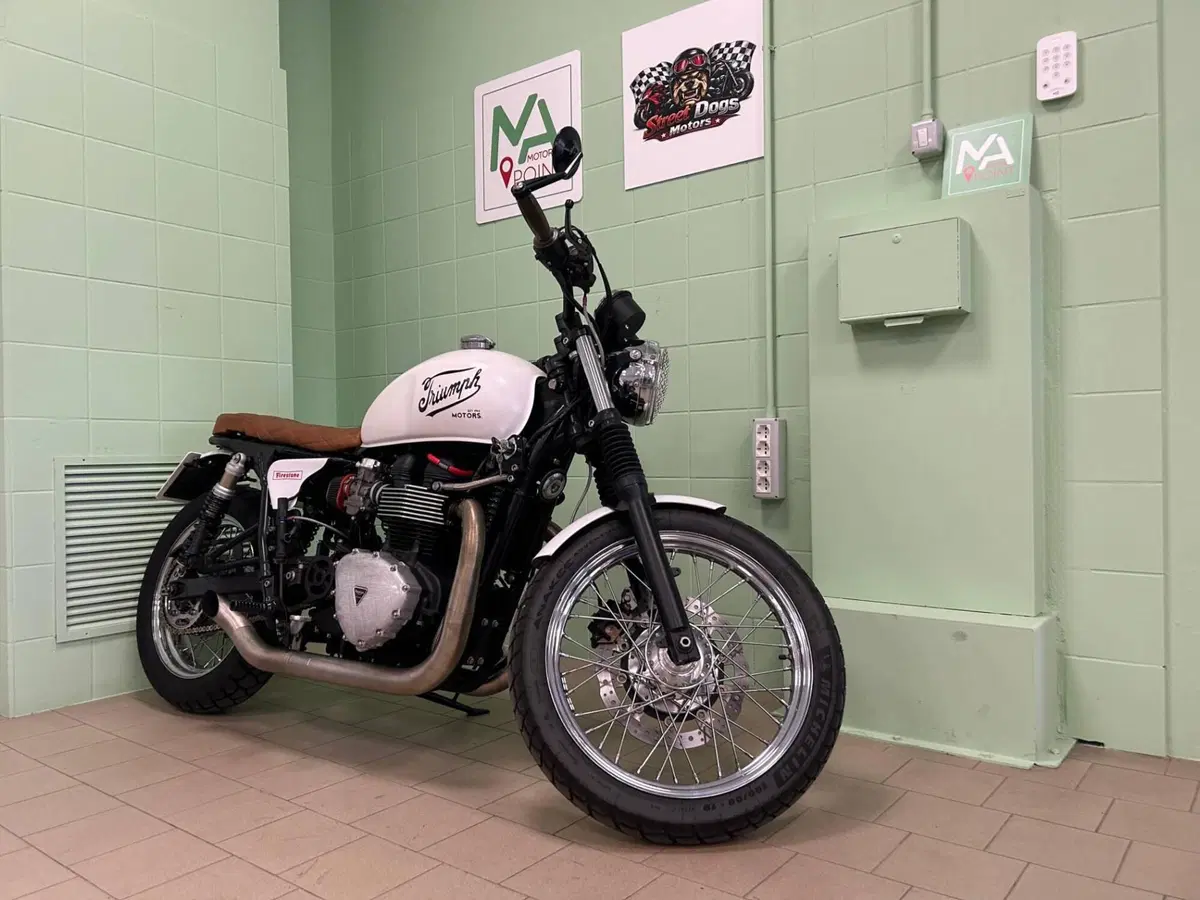 Triumph Bonneville T100 (2008 - 16) (9)
