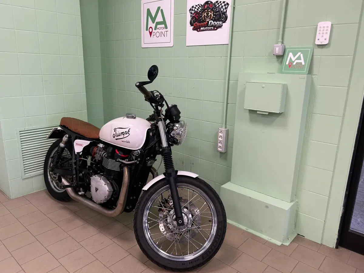 Triumph Bonneville T100 (2008 - 16) (10)