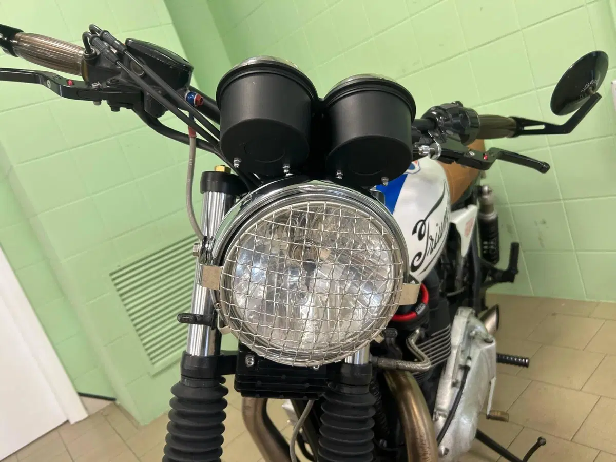 Triumph Bonneville T100 (2008 - 16) (15)