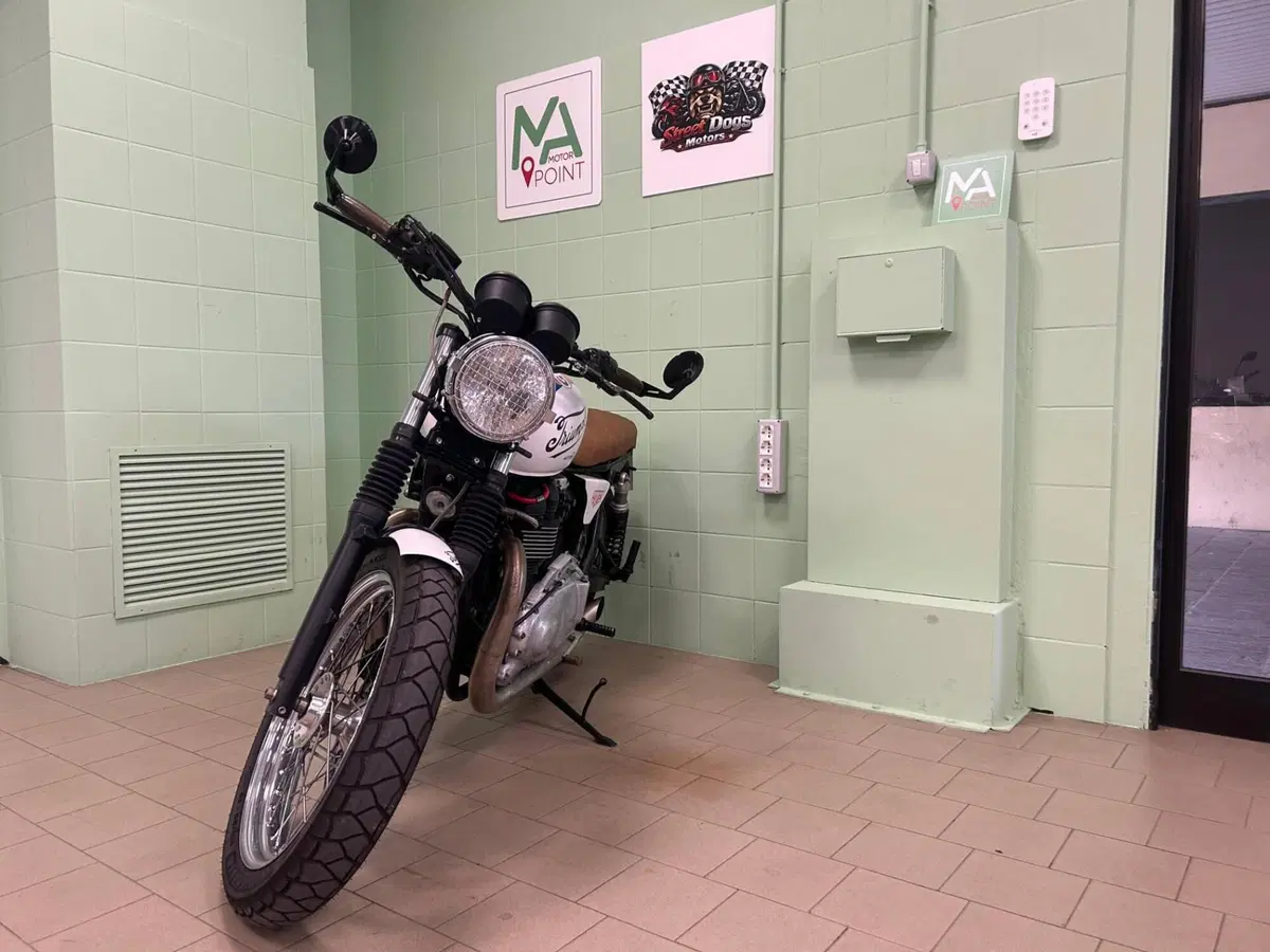 Triumph Bonneville T100 (2008 - 16) (16)