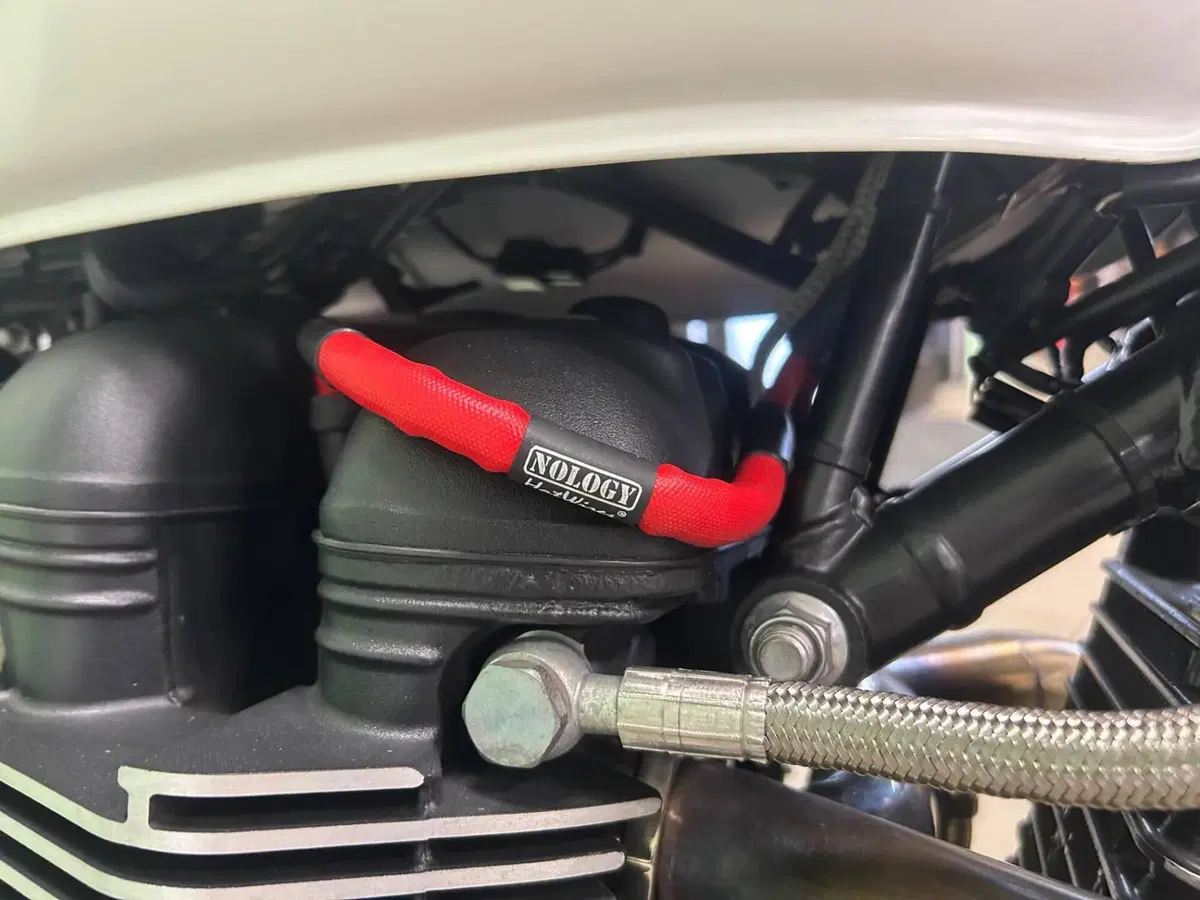 Triumph Bonneville T100 (2008 - 16) (19)