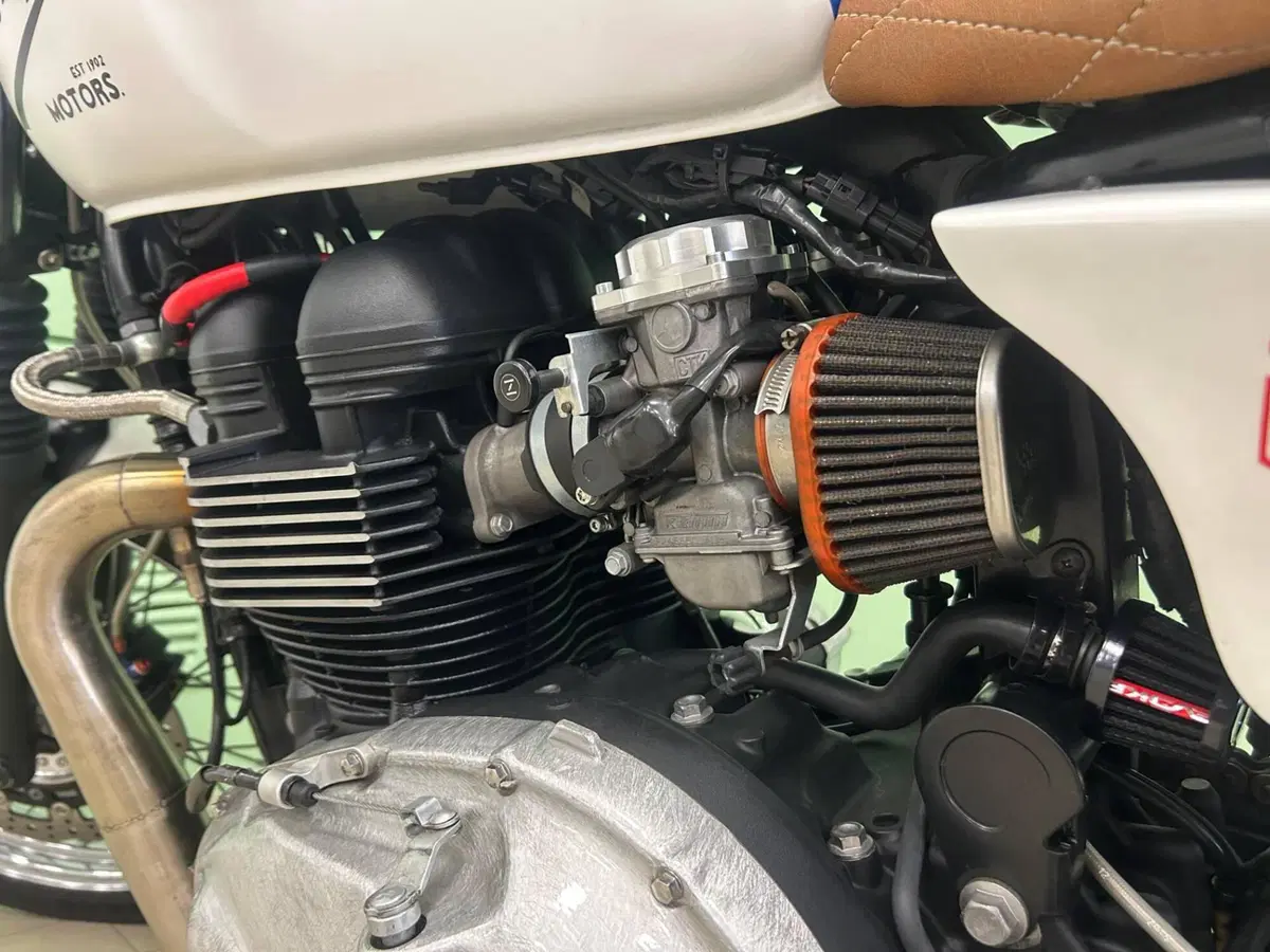 Triumph Bonneville T100 (2008 - 16) (20)