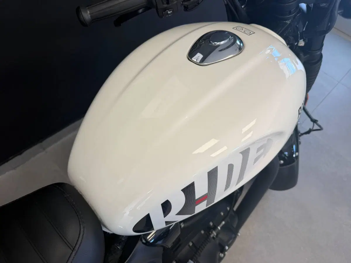 Royal Enfield HNTR 350 (2022 - 26) (3)