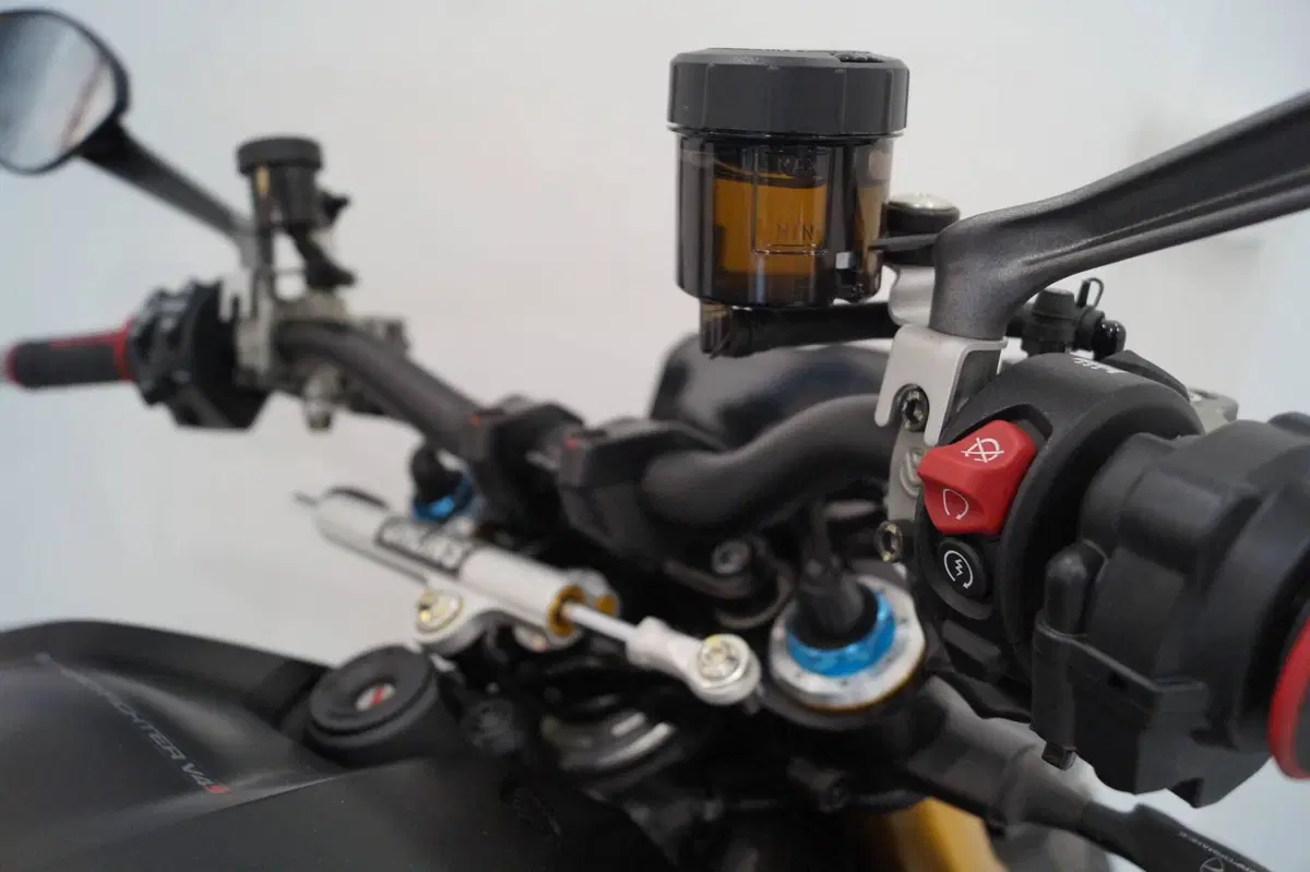 Ducati Streetfighter V4 S (2023 - 24) (10)