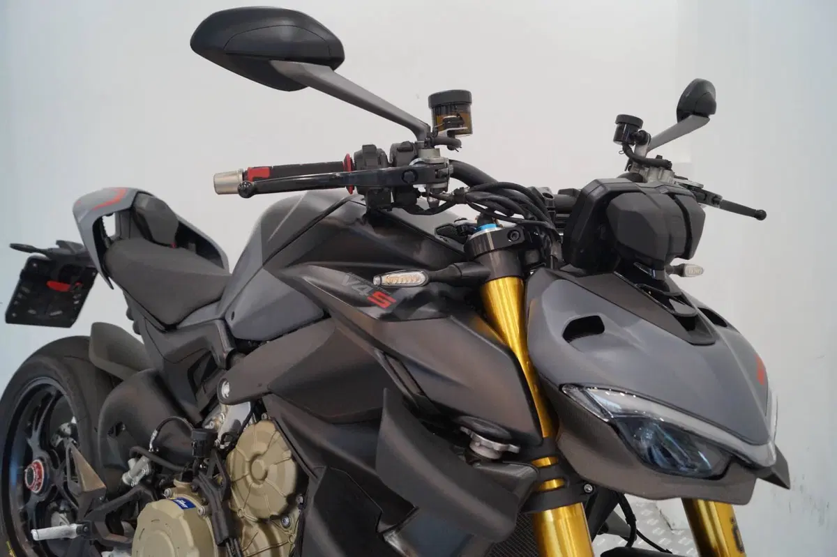 Ducati Streetfighter V4 S (2023 - 24) (11)