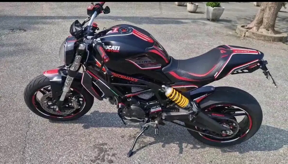 Ducati Monster 797 Plus (2019) (2)
