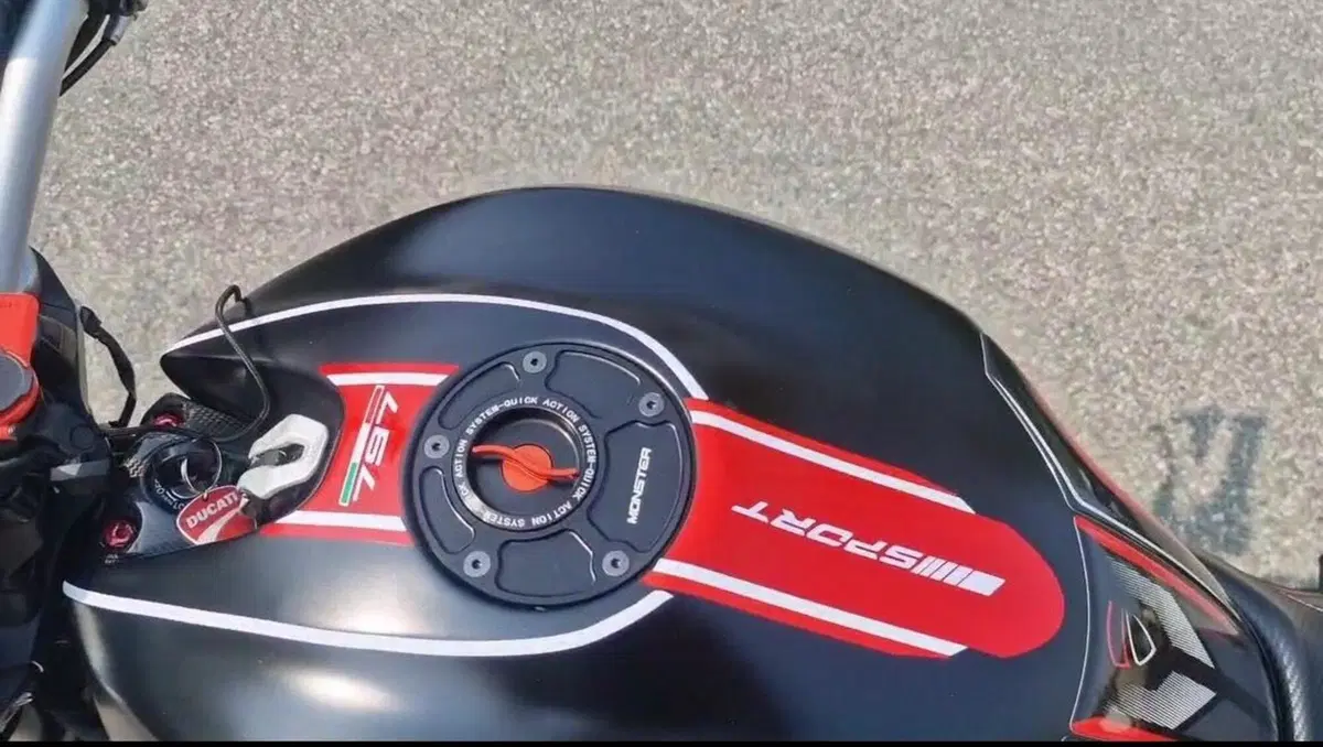 Ducati Monster 797 Plus (2019) (5)