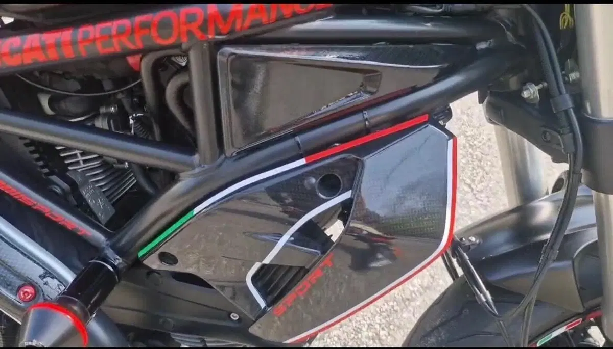 Ducati Monster 797 Plus (2019) (11)