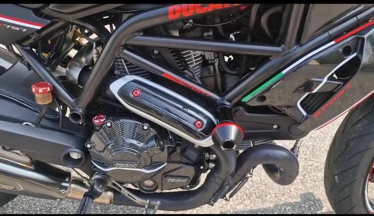 Ducati Monster 797 Plus (2019) (12)