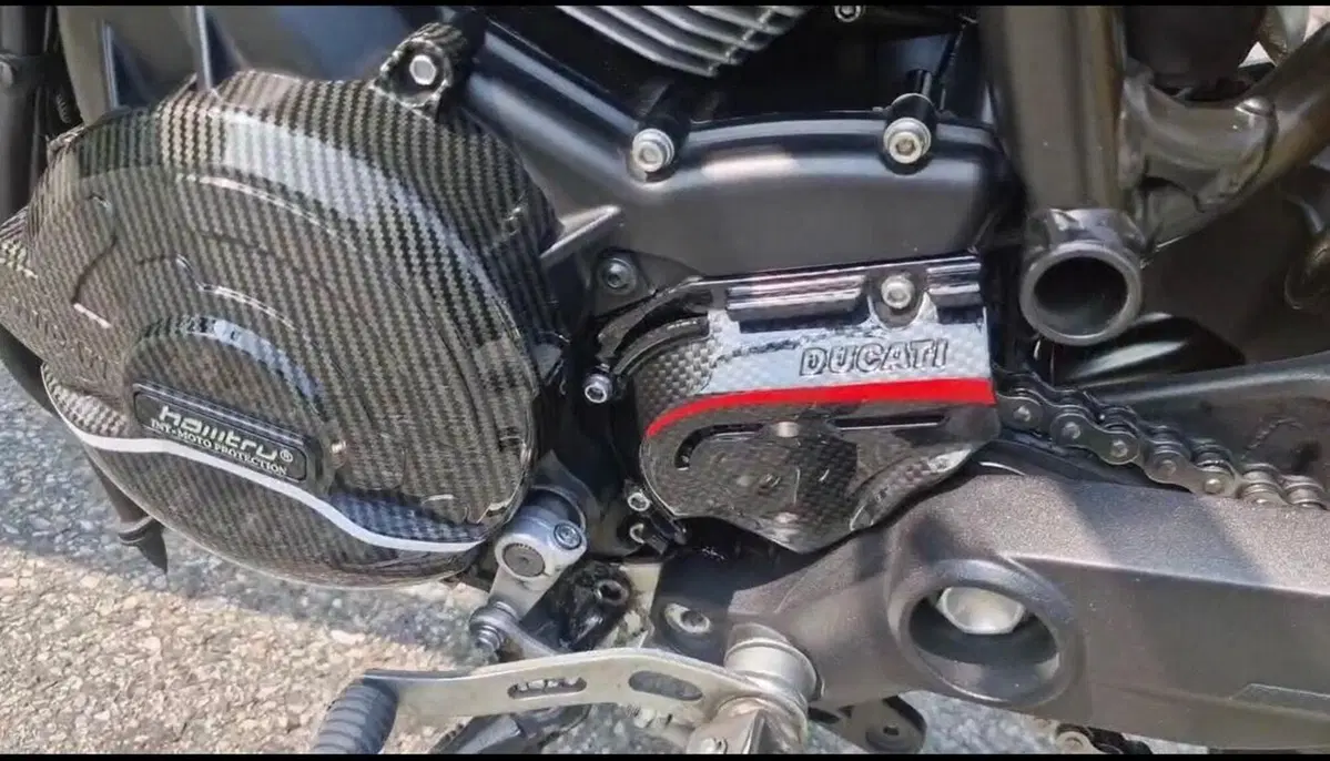 Ducati Monster 797 Plus (2019) (16)