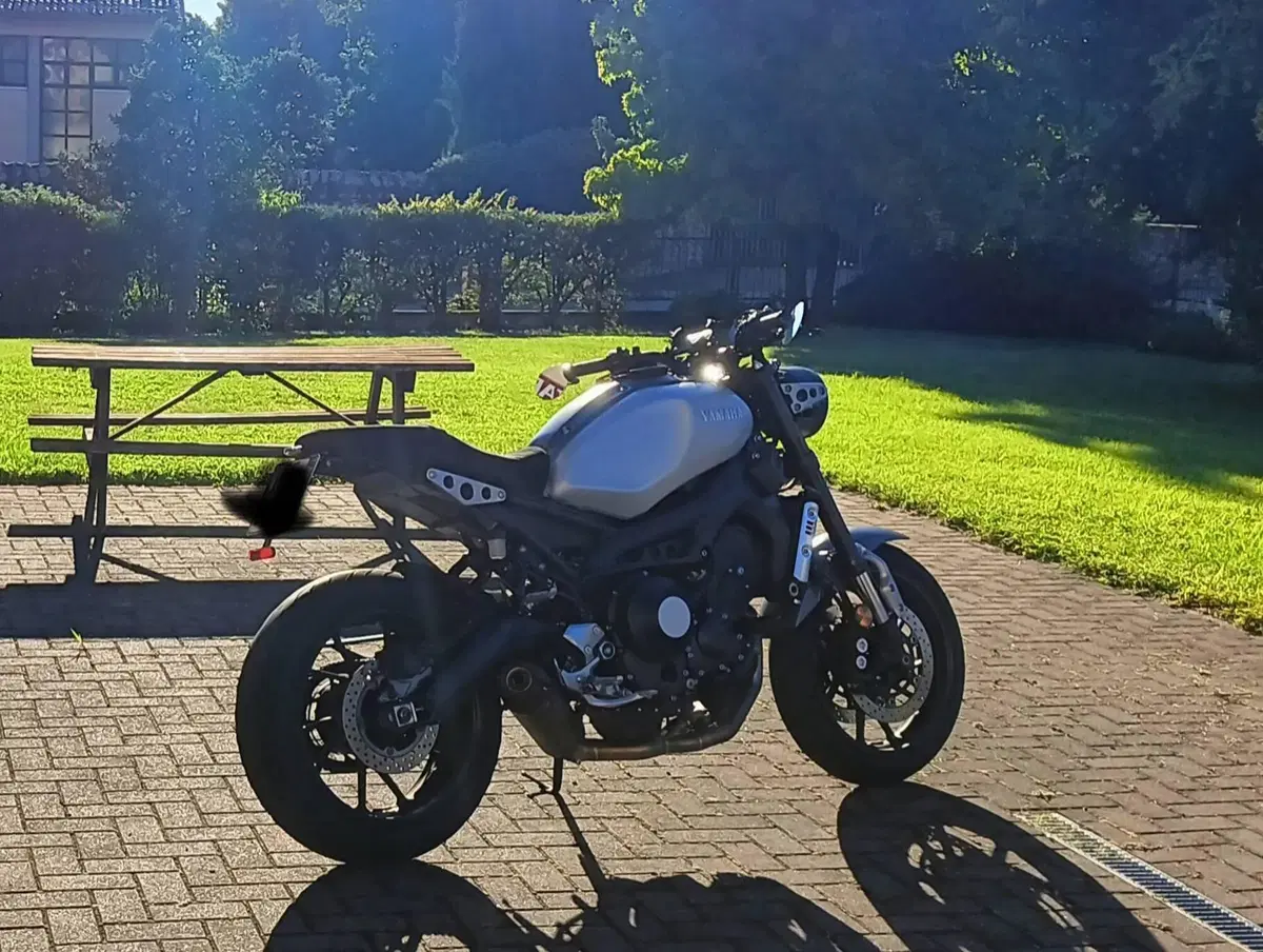 Yamaha XSR 900 ABS (2016 - 20) (2)