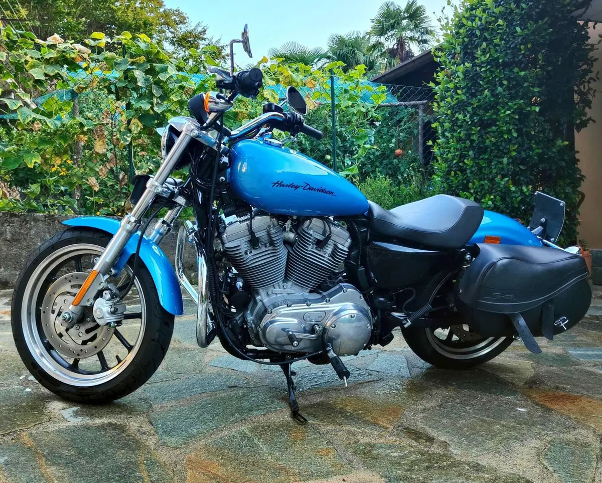 Harley-Davidson 883 Custom (2008 - 12) - XL 883C