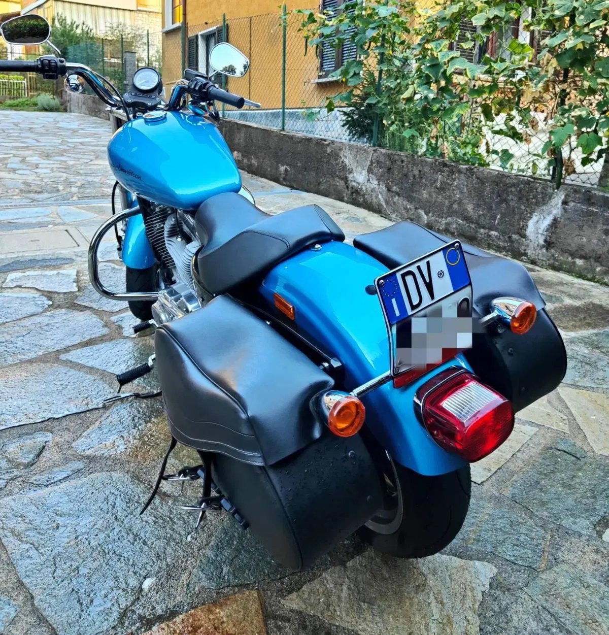 Harley-Davidson 883 Custom (2008 - 12) - XL 883C (2)