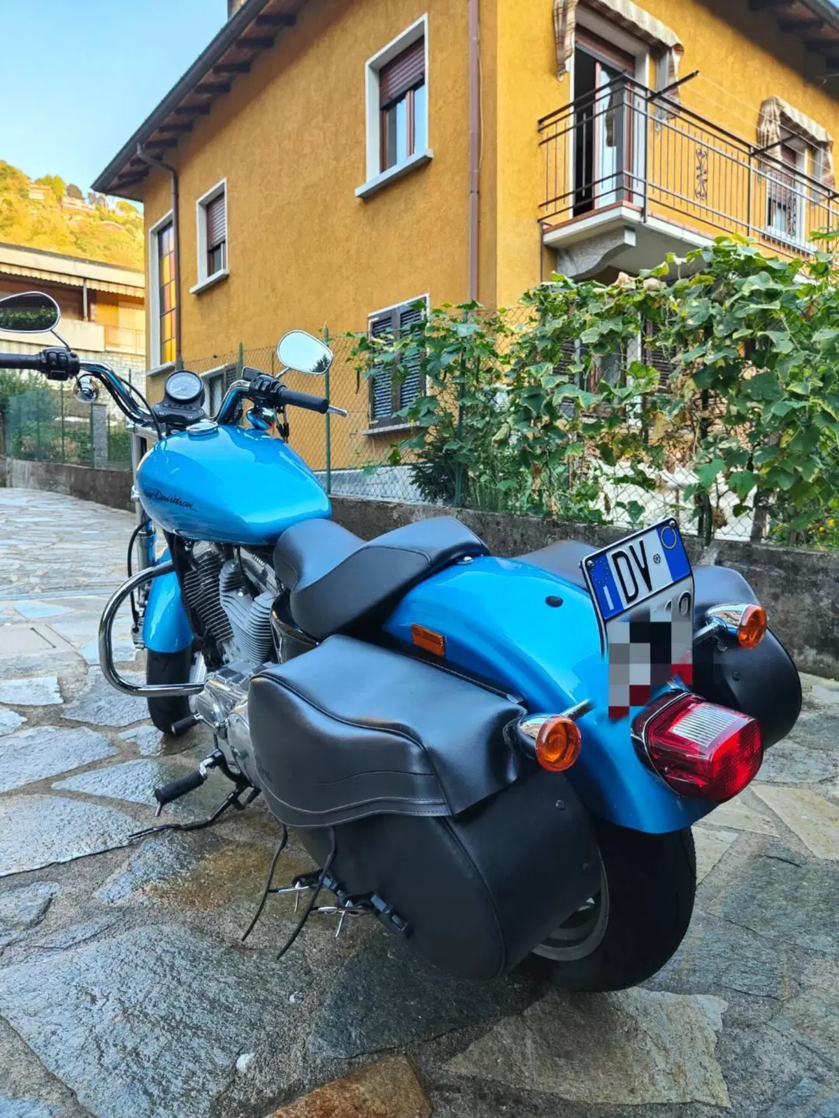 Harley-Davidson 883 Custom (2008 - 12) - XL 883C (4)