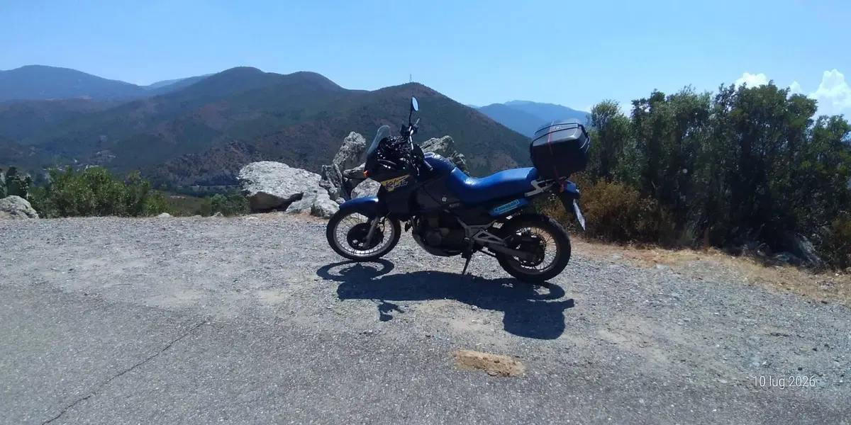 Kawasaki KLE 500 (2001 - 04) (3)