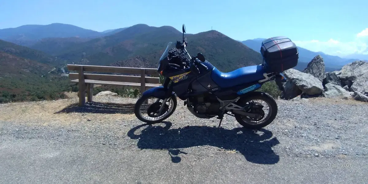 Kawasaki KLE 500 (2001 - 04) (4)