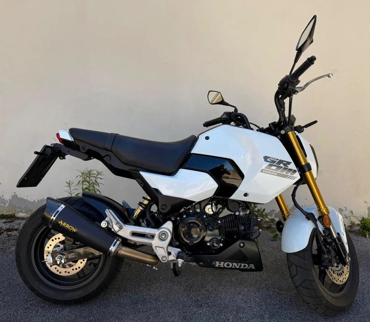 Honda MSX 125 Grom (2021 - 26) (2)