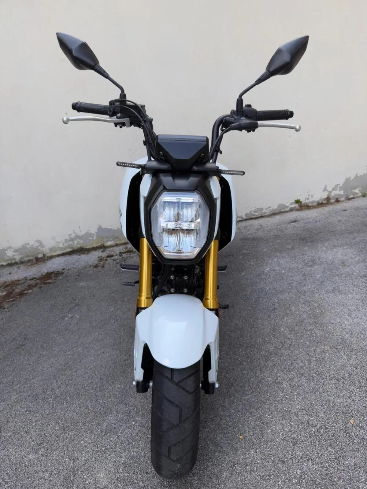 Honda MSX 125 Grom (2021 - 26) (5)
