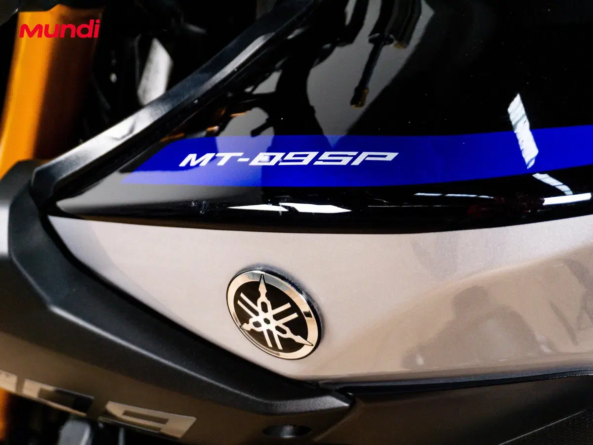 Yamaha MT-09 SP (2018 - 20) (13)