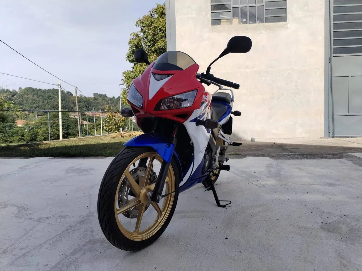 Honda CBR 125 R (2007 - 17) (6)