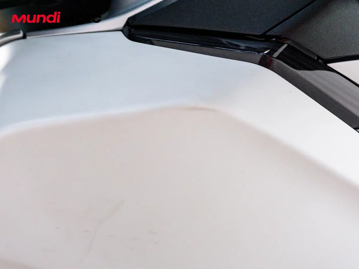Honda Forza 300 (2019 - 20) (15)