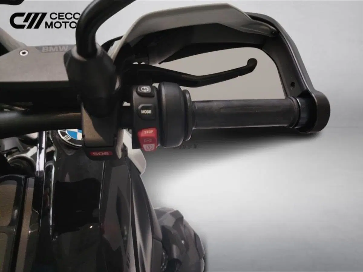 Bmw R 1300 GS Triple Black (2023 - 26) (10)