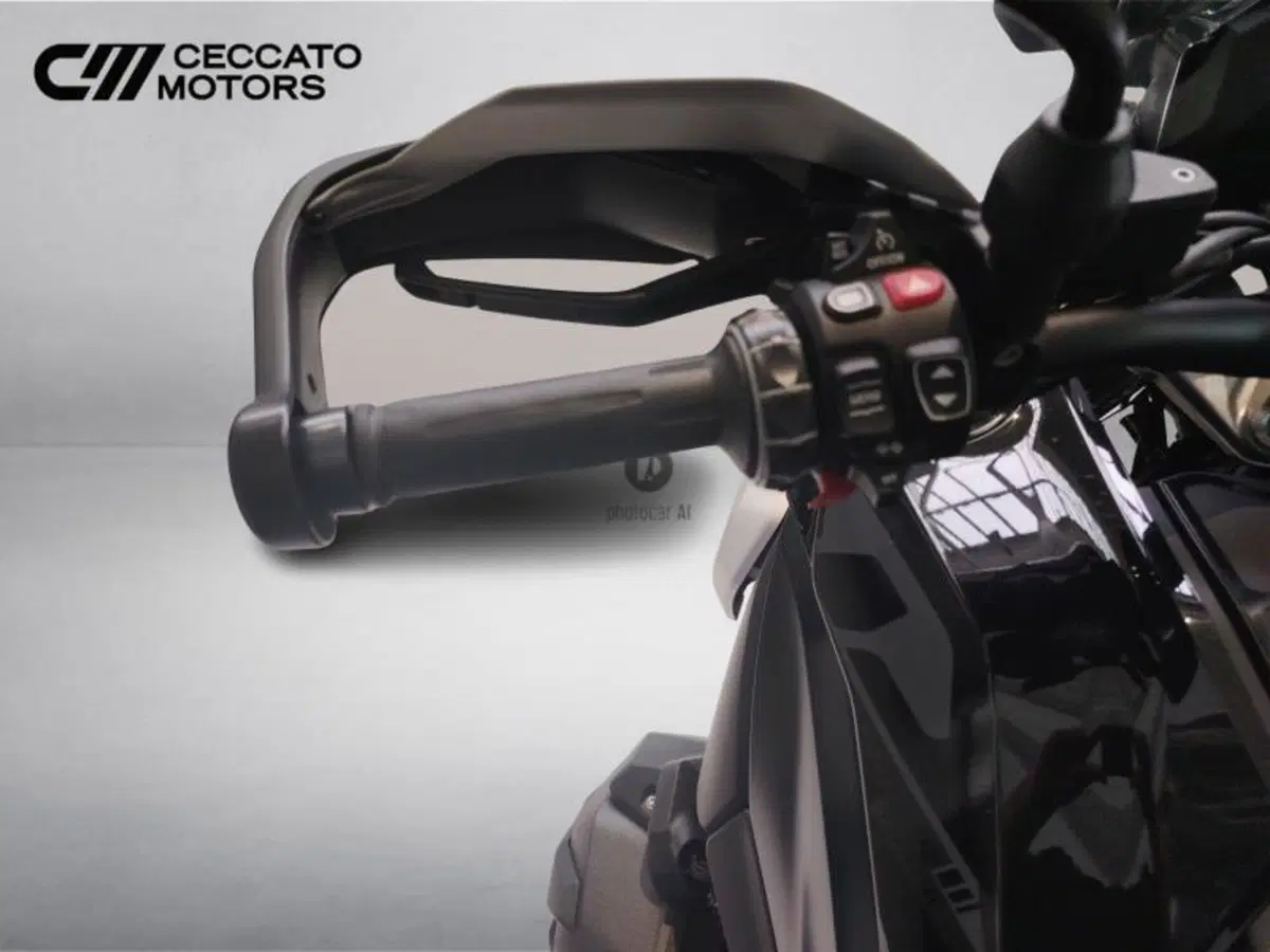 Bmw R 1300 GS Triple Black (2023 - 26) (11)
