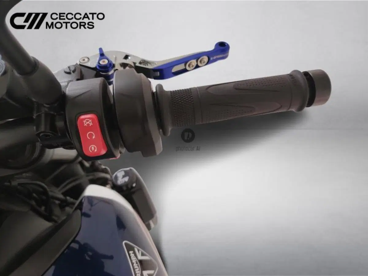 Triumph Trident 660 (2021 - 24) (10)