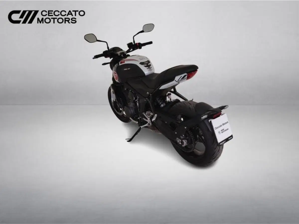 Triumph Trident 660 (2021 - 24) (5)