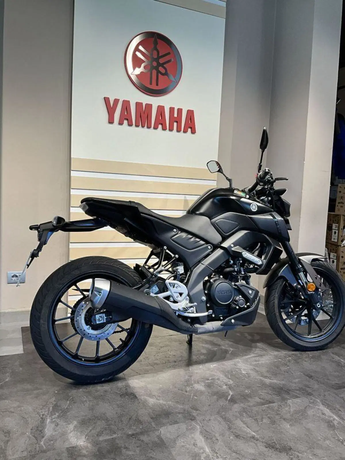 Yamaha MT-125 (2021 - 24) (6)