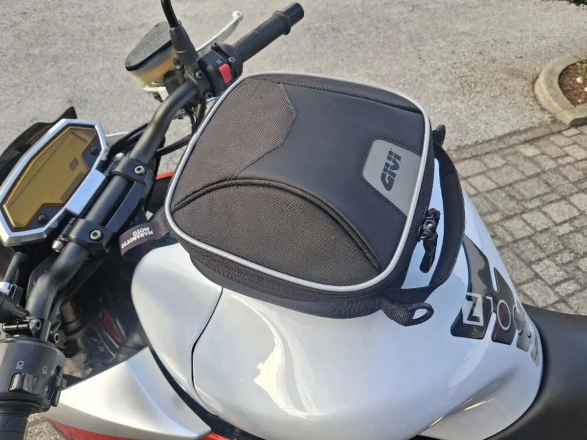 Kawasaki Z 1000 (2010 - 13) (4)