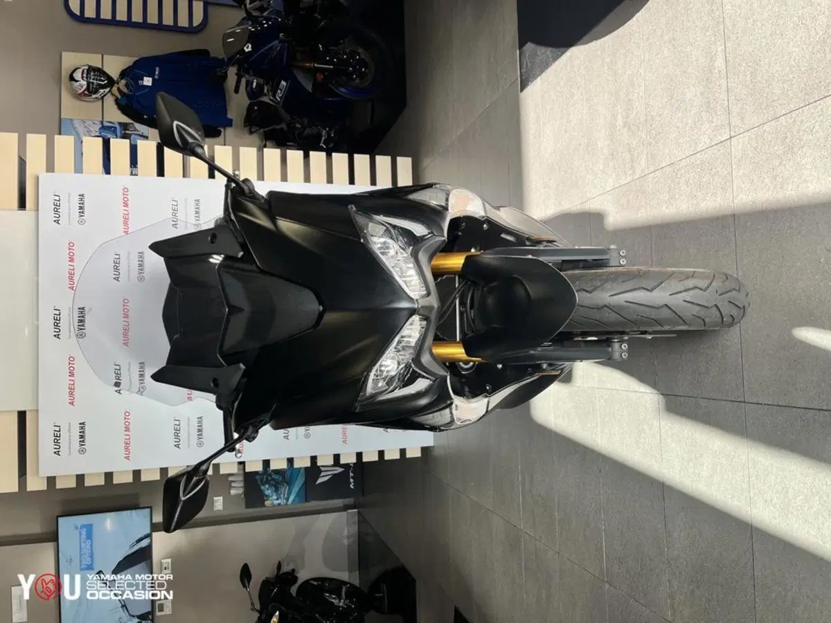 Yamaha T-Max 530 SX (2017 - 19) (6)