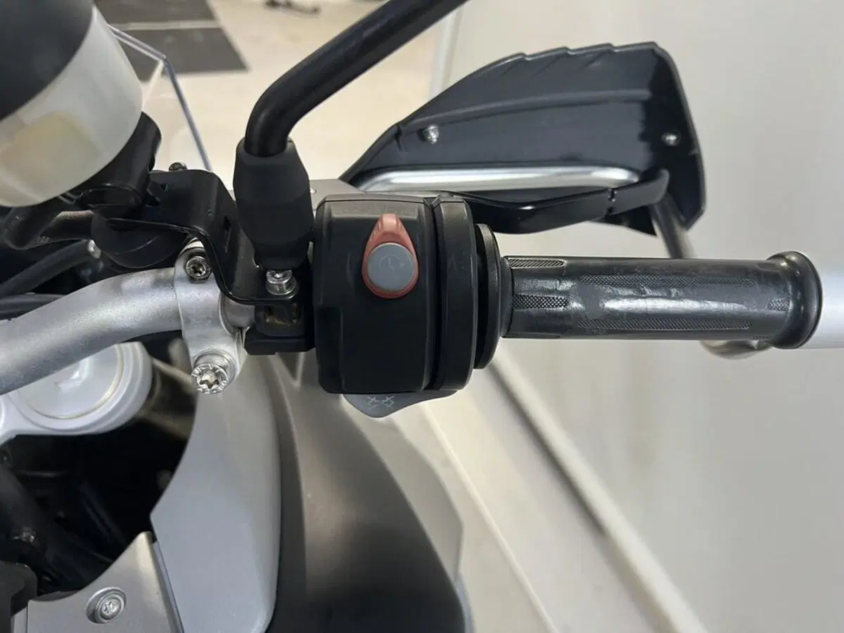 Bmw F 800 GS (2008 - 15) (9)