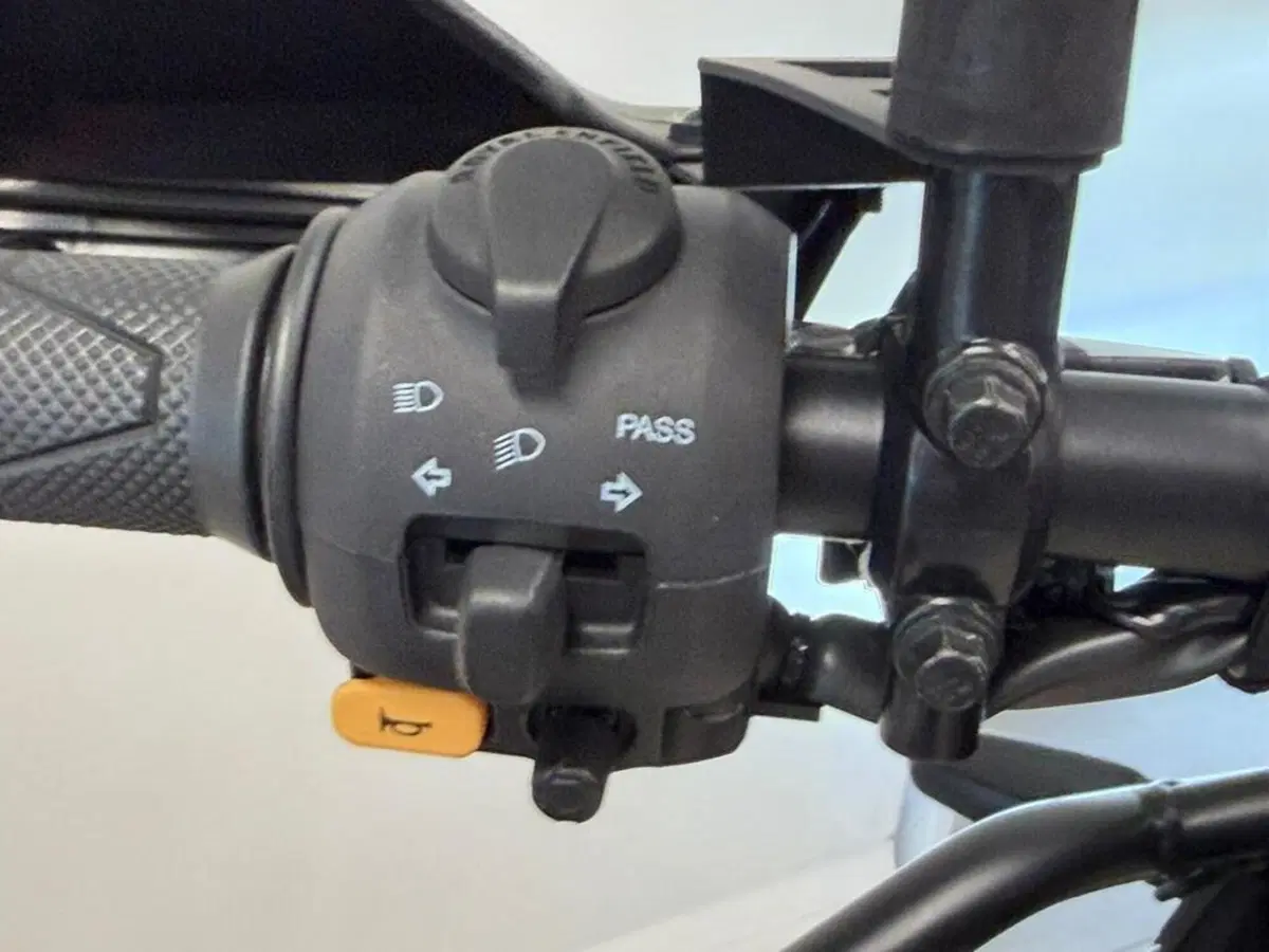 Royal Enfield Himalayan 450 (2024 - 26) (7)