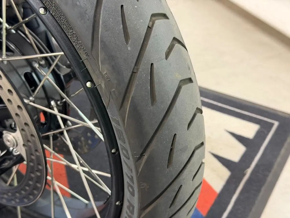 Bmw R 1300 GS Adventure Trophy (2025 - 26) (12)