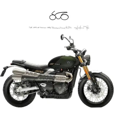 Triumph Street Scrambler 900 (2021 - 22) nuova